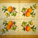 040 Lemons,  Oranges - 3-ply - (orange) - Ihr